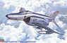 F-4E ファントムII `30周年記念塗装`/ワンピースキャノピー (プラモデル)