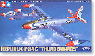 Republic F-84G Thunderbirds (Plastic model)