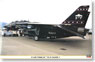 F-14D トムキャット VX-9 ヴァンディ 1 (プラモデル)