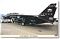 F-14D Tomcat VX-9 Vandy 1 (Plastic model)