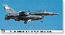 F-16CG (ブロック40) ファイティング ファルコン `トリプル ニッケル` ★限定品 (プラモデル)