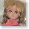 Country (Compact Doll) (Fashion Doll)