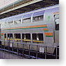 Saro 124 Shonan Color (Green Car) (Model Train)