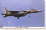 F-15DJ イーグル `飛行教導隊` (プラモデル)