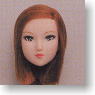 *Face painted Doll Head/Hair transplantation Type 01-PH1 (Light-brown) (Fashion Doll)