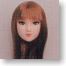 *Face painted Doll Head/Hair transplantation Type 01-PH2 (Brown) (Fashion Doll)