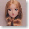 *Face painted Doll Head/Hair transplantation Type 02-PH1 (Gold-brown) (Fashion Doll)