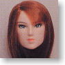 *Face painted Doll Head/Hair transplantation Type 03-PH1 (Red-brown) (Fashion Doll)