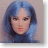 *Face painted Doll Head/Hair transplantation Type 03-PH3 (Blue) (Fashion Doll)