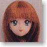 *Face painted Doll Head/Hair transplantation Type 04-PH2 (Light-brown) (Fashion Doll)