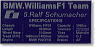 Williams FW24 Data Plate Schumacher (Model Car)