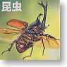 *Figure Pictorial Book of Gakken `Insect` 10 pieces (Completed)