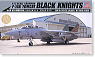 F-14A Tomcat Black Knights (Plastic model)