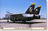 F-14B Tomcat Jolly Rogers VF-103 (Plastic model)