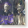 S.I.C. Kamen Rider Knight & Ohja (Completed)