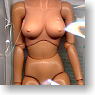 New Excellent Base Model Mini C Type Brown Skin(Big Bust Ver.) (Fashion Doll)
