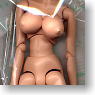 New Excellent Base Model E Type (Big Bust Ver.) (Fashion Doll)