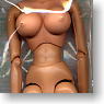New Excellent Base Model J Type Brown Skin(Big Bust Ver.) (Fashion Doll)