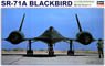 SR-71 Black Bird (Plastic model)
