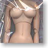 Excellent Base Model Soft Bust F Type (Fashion Doll)
