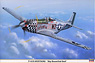P-51D ムスタング ビッグビューティフルドール (プラモデル)