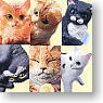 ナーゴ コレクション 第5弾 ～ナーゴの猫町めぐり～ 12個セット(完成品)