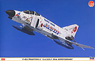 F-4EJ Phantom II J.A.S.D.F. 50 years Anniversary (Plastic model)