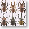 Beetle Fierce Fight Edition Fighting Pack 3 pieces (PVC Figure)