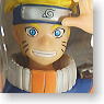 Collectible File DX Naruto (Completed)