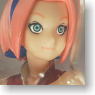 Collectible File DX Sakura (Completed)