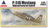 P-51A Mustang Allison Powered Fighter (Plastic model)