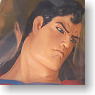 Superman Kotobukiya Ver.(PVC Figure)