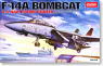 F-14A Tomcat Bomb Cat (Plastic model)