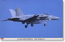 F/A-18E スーパーホーネット `ロービジ` (プラモデル)