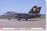 F-14D トムキャット “VF-31 トムキャッターズ” (プラモデル)