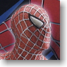 Spider Man Renewal Package Ver. (Completed)