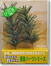 Japanese Cypress (Green Leaf) (M) (2pcs.) (Model Train)