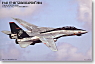 F14D VF-101 「グリムリーパーズ」 2004 VF101 ノーマル塗装機 (3機セット) (プラモデル)