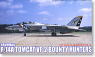 F-14A Tomcat BountyHunter (Plastic model)