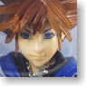 Kingdom Hearts2 Play Arts Sora Wisdam Form Miyazawa Model Ver. (Completed)