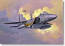 F-15E Strike Eagle (Plastic model)