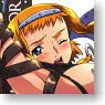 *Queens Blade Leina Cushion Cover (Anime Toy)