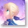 Fate stay night Saber Cushion Cover (Anime Toy)