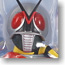 RAH220 No.51 DX Kamen Rider X (Completed)