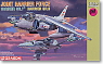Harrier Gr.7 & Harrier Gr.9 (Plastic model)