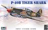 P-40B Tigershark (Plastic model)