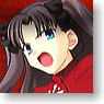 Fate/stay night & Fate/hollow ataraxia  Marupure -Multi Plate Collection Vol.2- 10 pieces (Anime Toy)