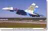 Su-27 Flanker New Russian Knights (Plastic model)