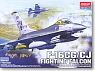 F-16CG/CJ Fighting Falcon (Plastic model)