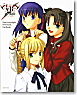 Fate/stay night Premium FanBook (Art Book)